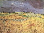 Vincent Van Gogh The Fields (nn04) china oil painting artist